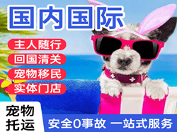 珠海金湾机场托运国际宠物托运 【国